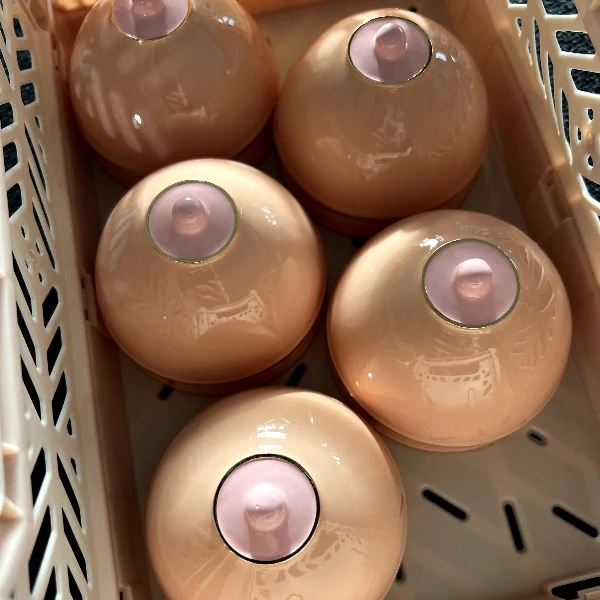 Æske - Boob