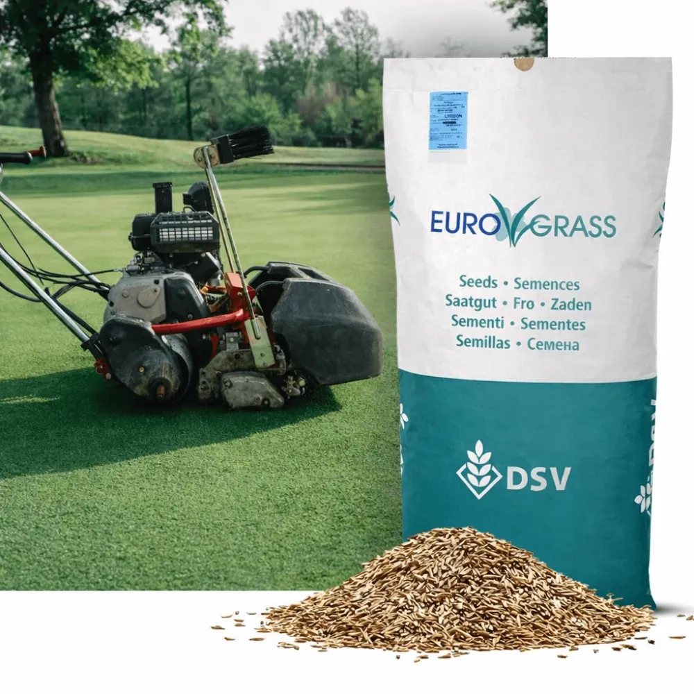 Rødsvingel-Turf, 10 kg