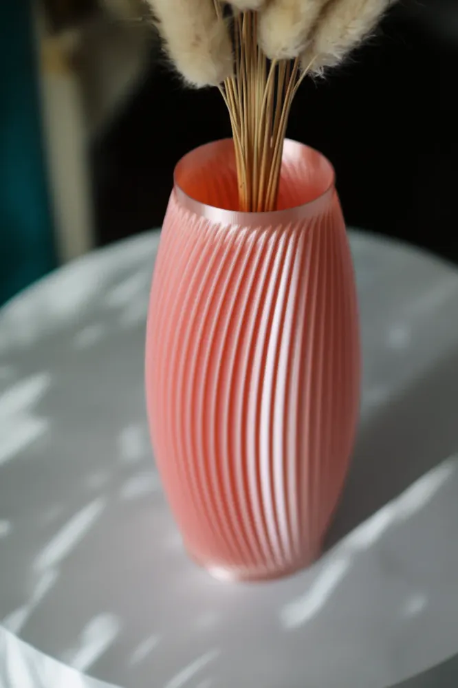 Roberta Vaas Flakkee3D