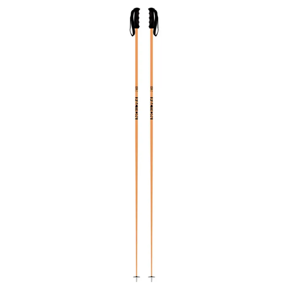 Prodigy Poles - Skistave Party Planner 135