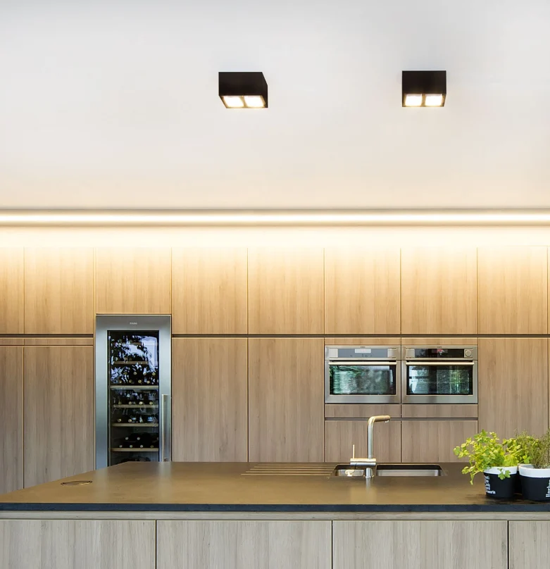 Box 2 sort/guld loftlampe Wever & Ducré (outlet)