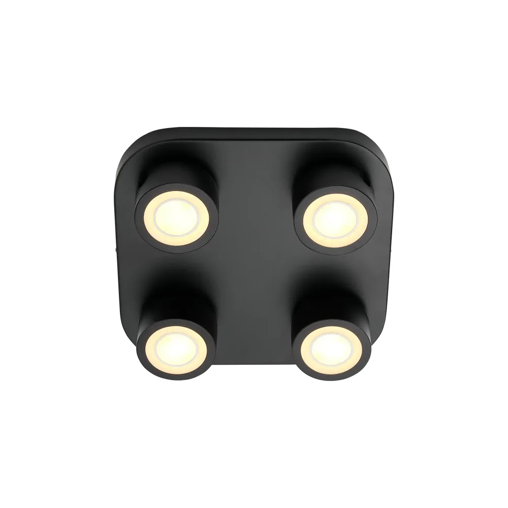Clyde 4-Spot | Loftlampe | Sort
