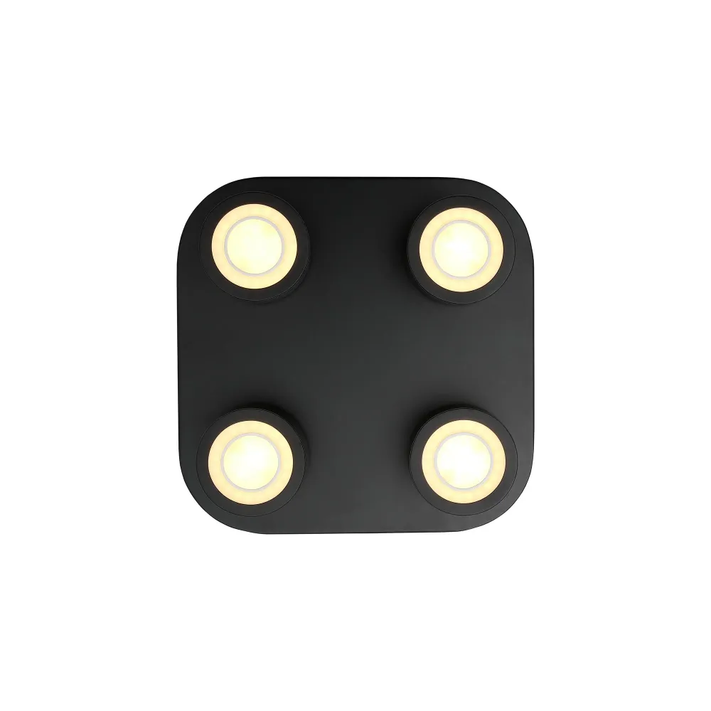 Clyde 4-Spot | Loftlampe | Sort