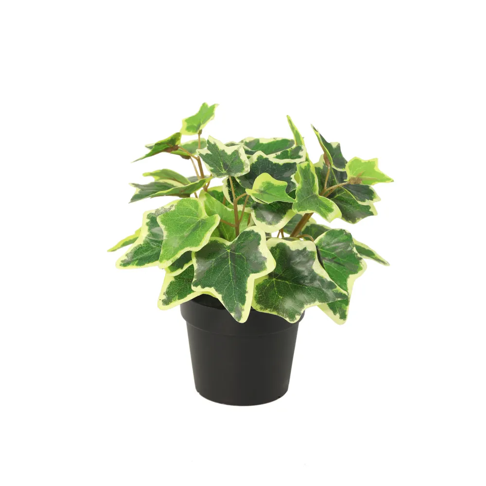 ARTIFICIAL White Ivy - 19cm