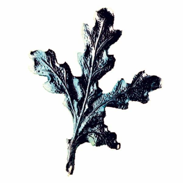 Egeløv